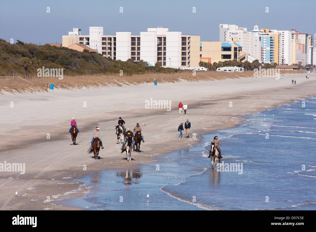 Riding Horses On The Beach Stock Photo Alamy