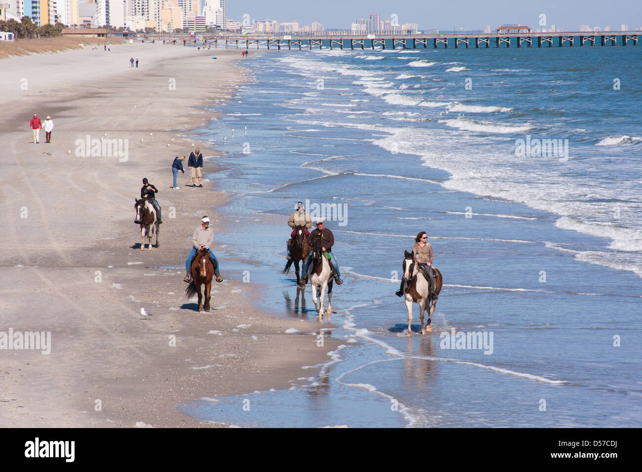 Riding Horses On The Beach Stock Photo Alamy