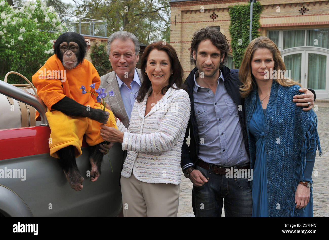 Ape Charly and cast members posieren die Schauspieler(L-R) Hans-Juergen Baeumler, Daniela Ziegler, Falk-Willy Wild and Ursula Buschhorn pose at the set in Stahnsdorf, Germany, 13 May 2010. German public braodcaster ZDF will shoot the 16th season of the popular series Unser Charly (Our Charly) until autumn 2010. Broadcasting is scheduled for 2011. Photo: Bernd Settnik Stock Photo