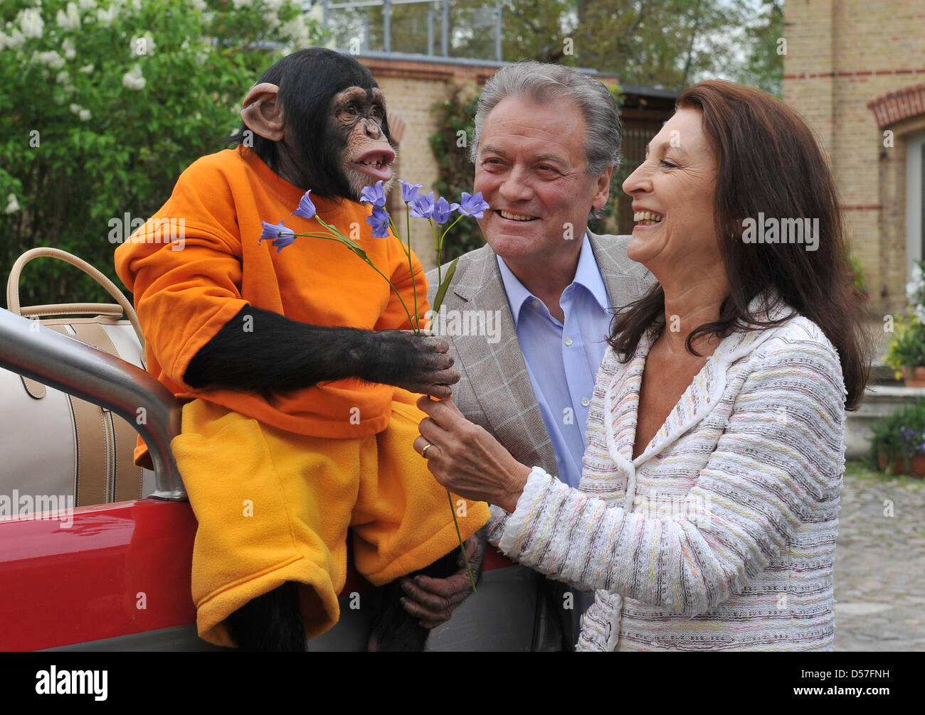 Ape Charly and cast members (L-R) Hans-Juergen Baeumler and Daniela Ziegler pose at the set in Stahnsdorf, Germany, 13 May 2010. German public braodcaster ZDF will shoot the 16th season of the popular series Unser Charly (Our Charly) until autumn 2010. Broadcasting is scheduled for 2011. Photo: Bernd Settnik Stock Photo