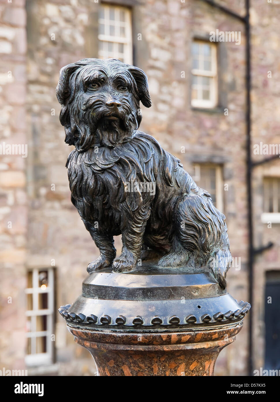 Edinburgh statue dog statue edinburgh hires stock photography and