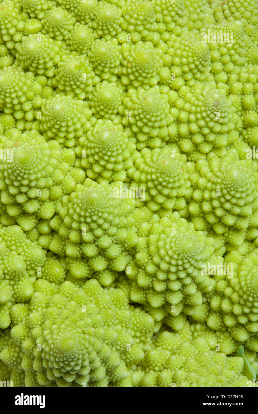 Romanesco, close-up of florets, an example of natural fractals. Stock Photo