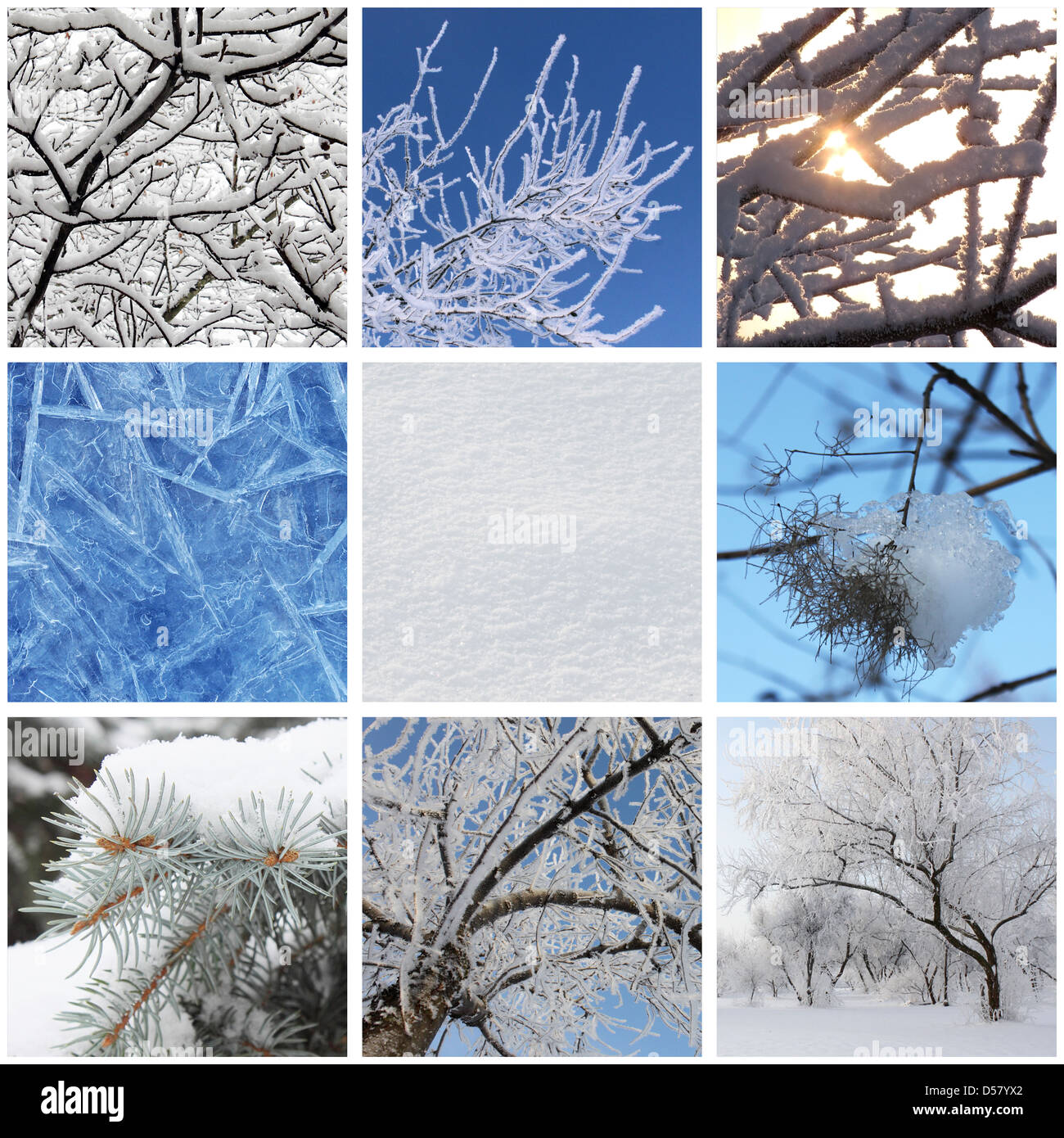 collage with photos of nature at winter Stock Photo Alamy
