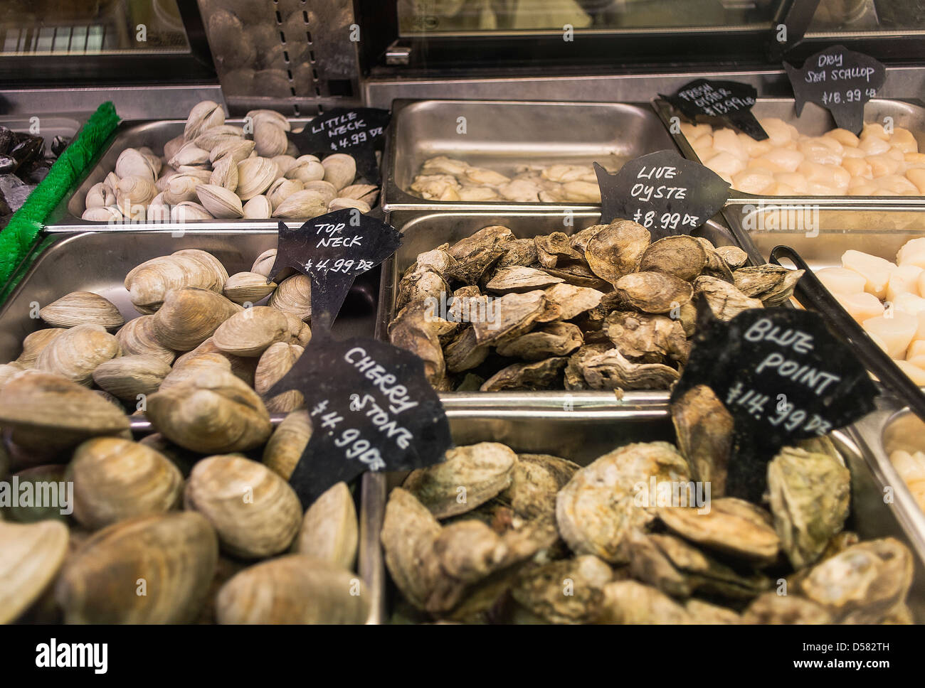 Shellfish display at a seafood market. Stock Photo