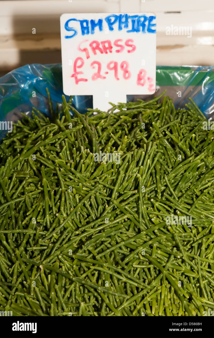 Samphire grass or glasswort Salicornia fruticosa on sale in market, St Helier, Jersey, Channel Islands, UK Stock Photo