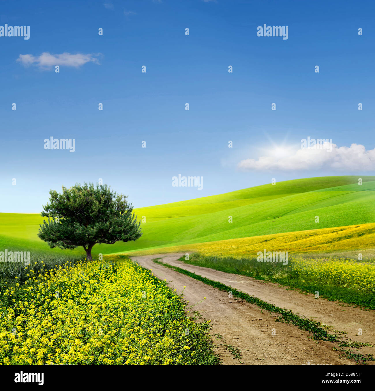 Green Grass Field Landscape with fantastic clouds in the background Stock Photo