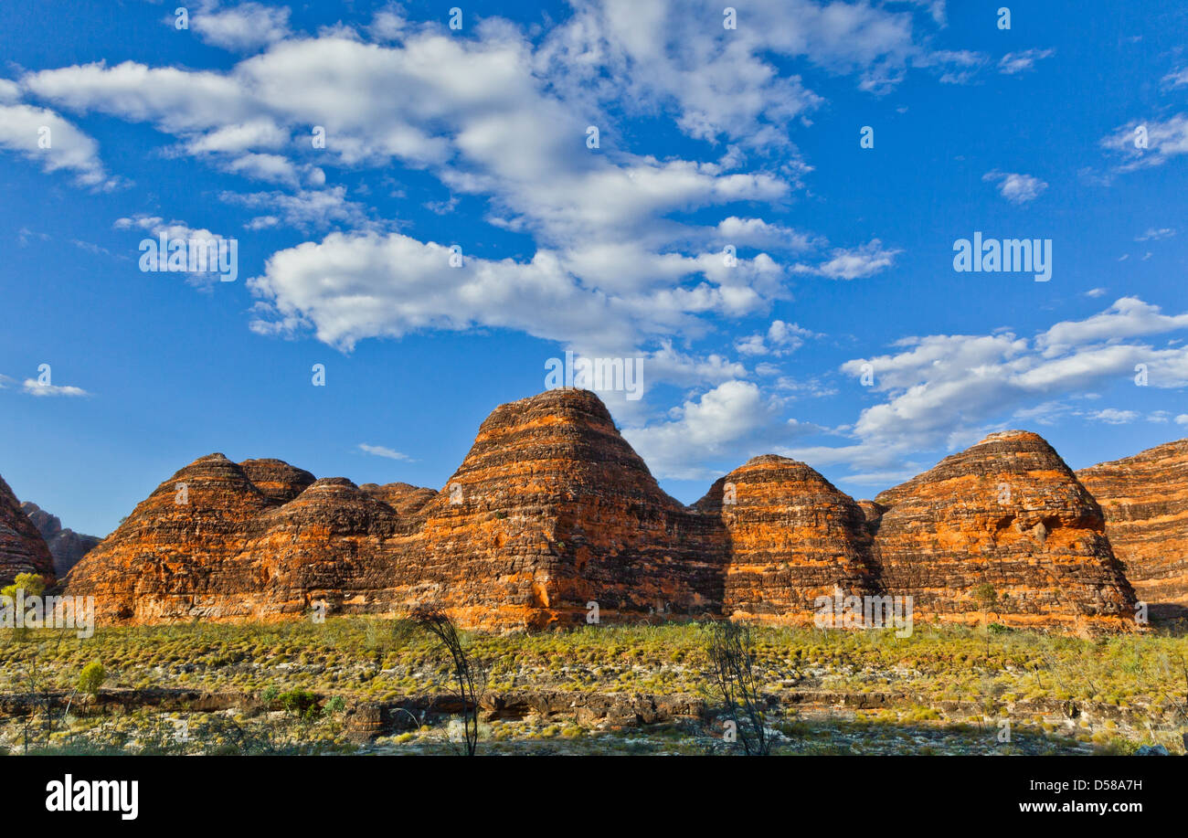 Bungle Bungle National Park, Purnululu, view of the characteristic beehive shaped sandstone domes, Western Australia Stock Photo