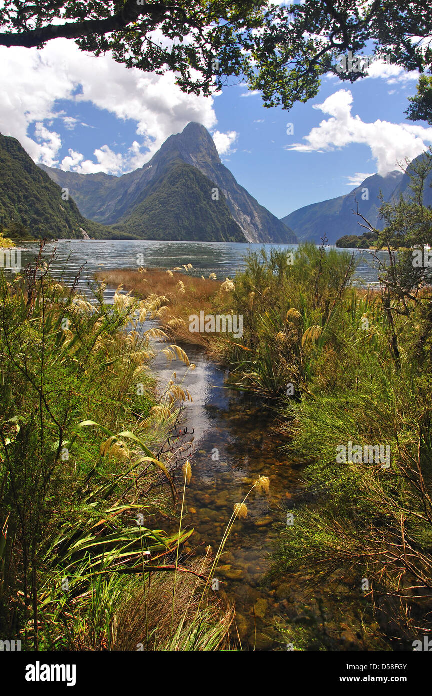 Mitre Peak, Milford Sound, Fiordland National Park, Southland Region, South Island, New Zealand Stock Photo