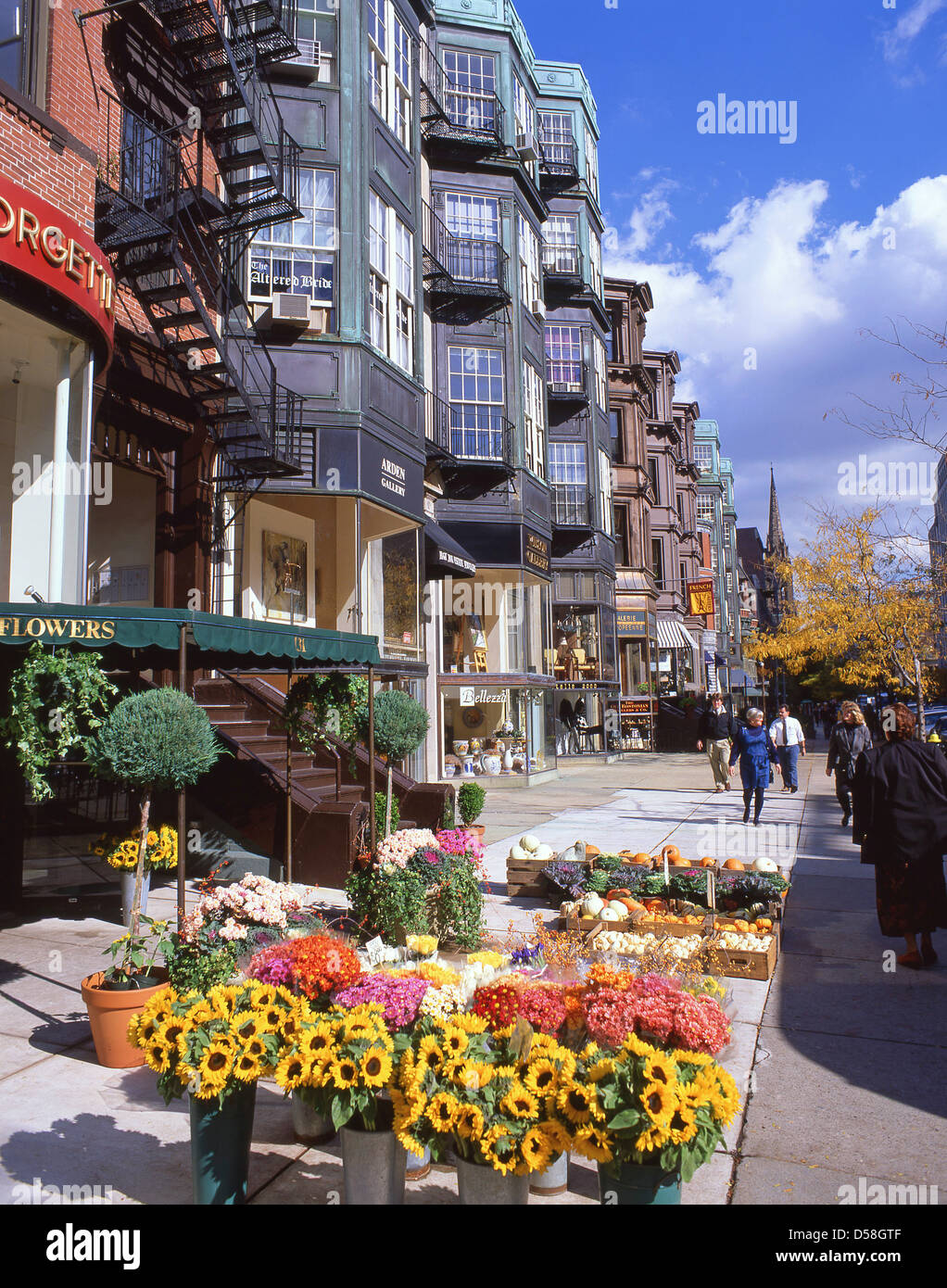 Newbury Street Street) in fall, Back Bay Historic District