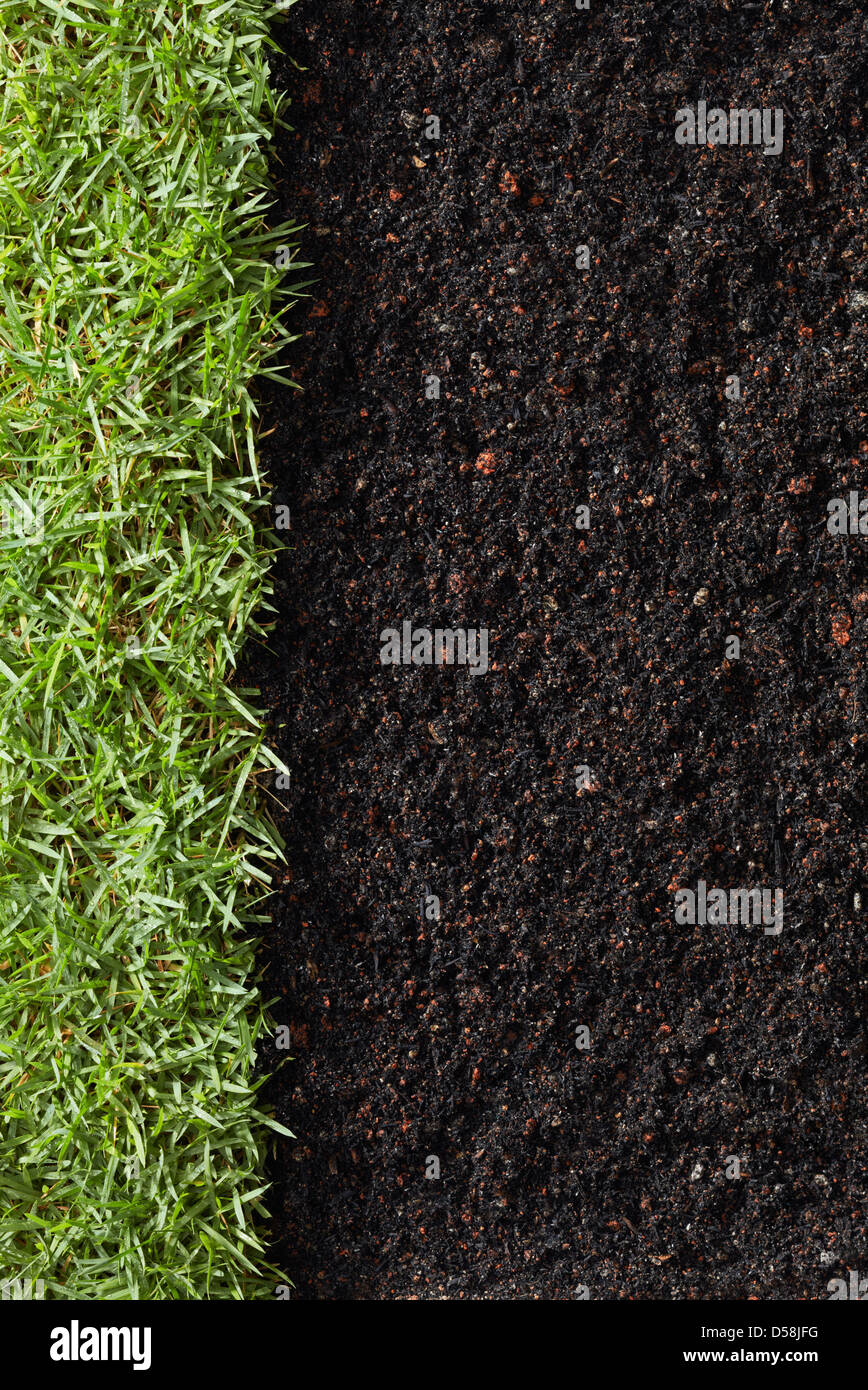 green grass with soil as nature background Stock Photo