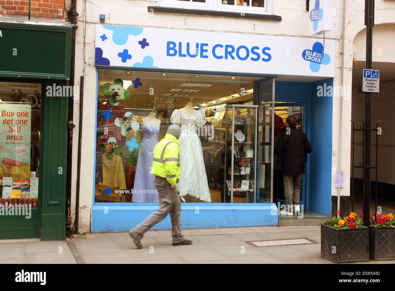 Man walking past the Blue cross animal charity shop on the high street in Wells, Somerset, March 2013 Stock Photo