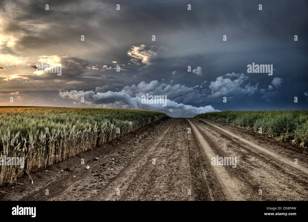 Storm Clouds Saskatchewan billowing clouds and gravel road Stock Photo ...