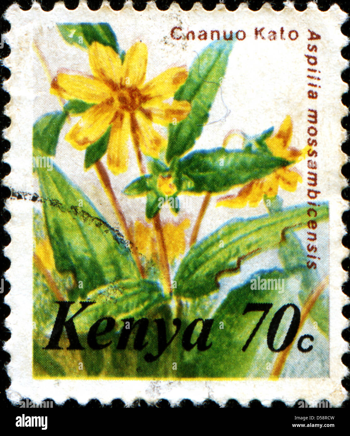 KENYA - CIRCA 1983: A stamp printed in Kenya shows Chanuo Kato - Aspilia mossambicensis, circa 1983 Stock Photo