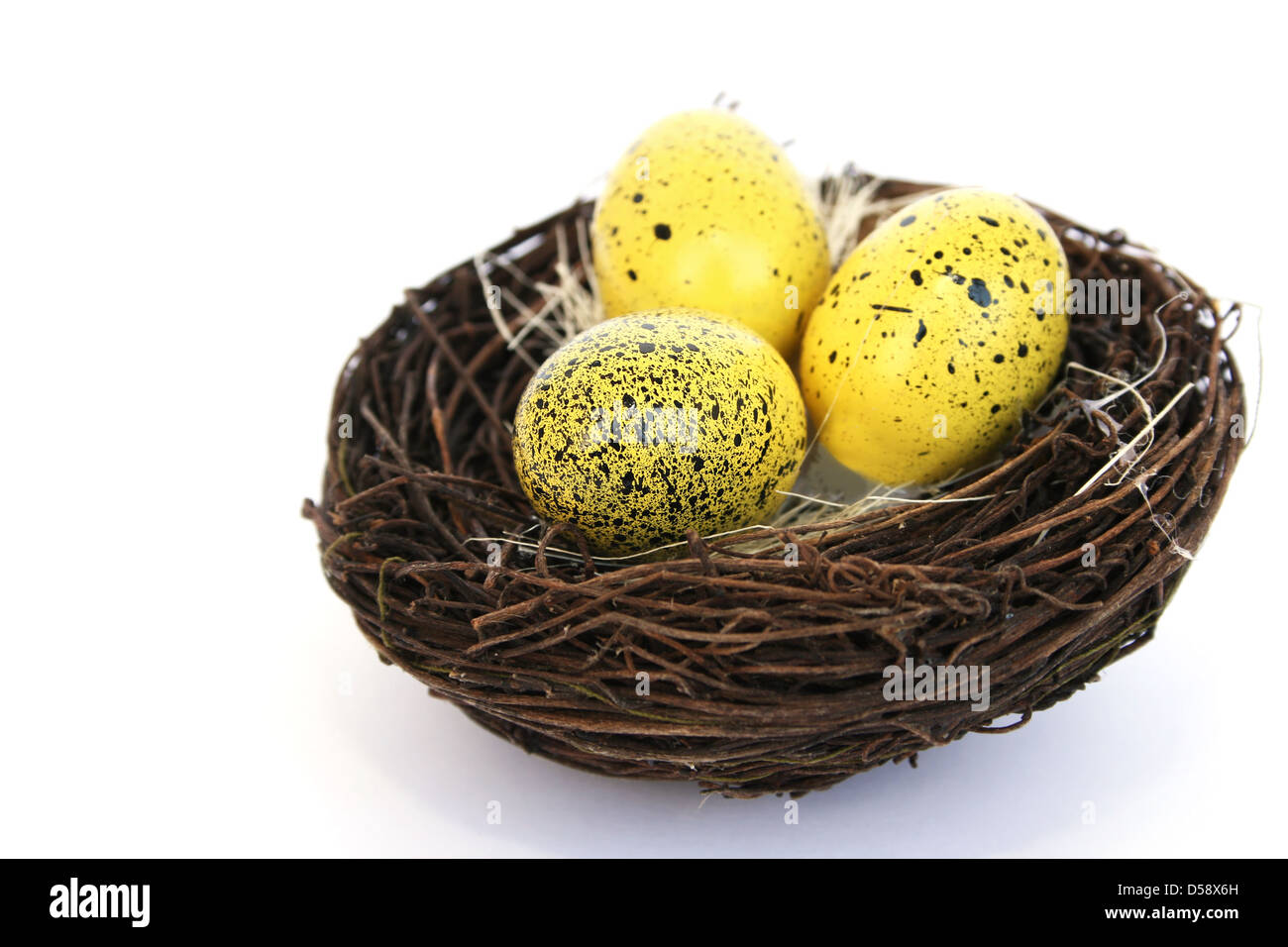 Gold hen hi-res stock photography and images - Page 11 - Alamy