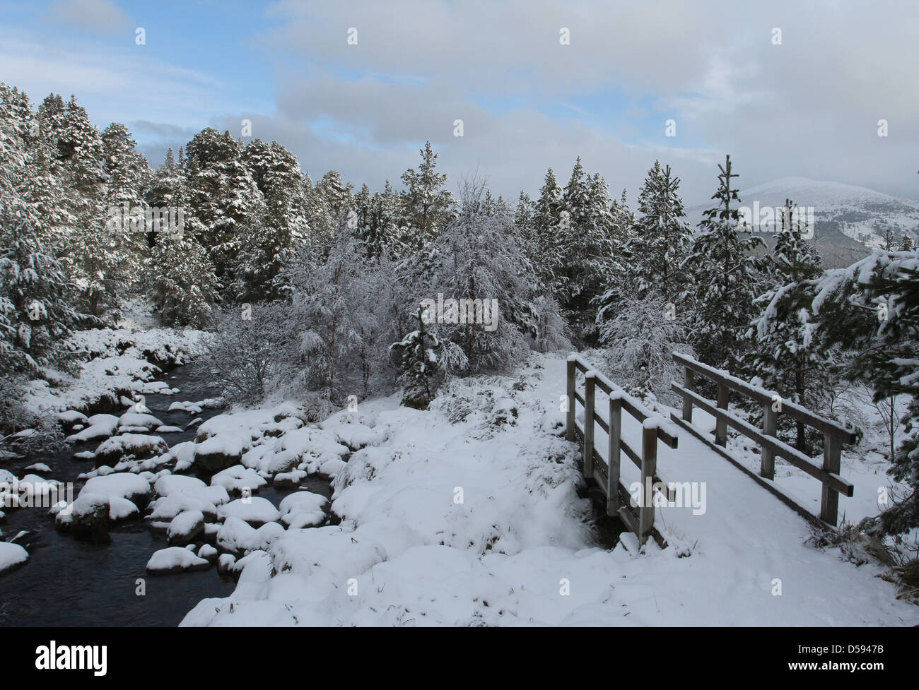 Cairngorm national park bridge hi-res stock photography and images - Alamy