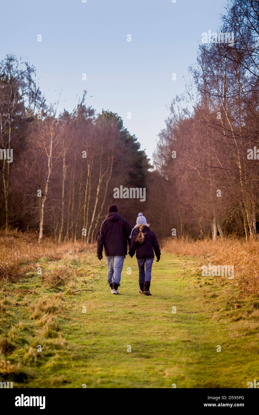 Rear view of a couple hand in hand walking away from the camera in the ...