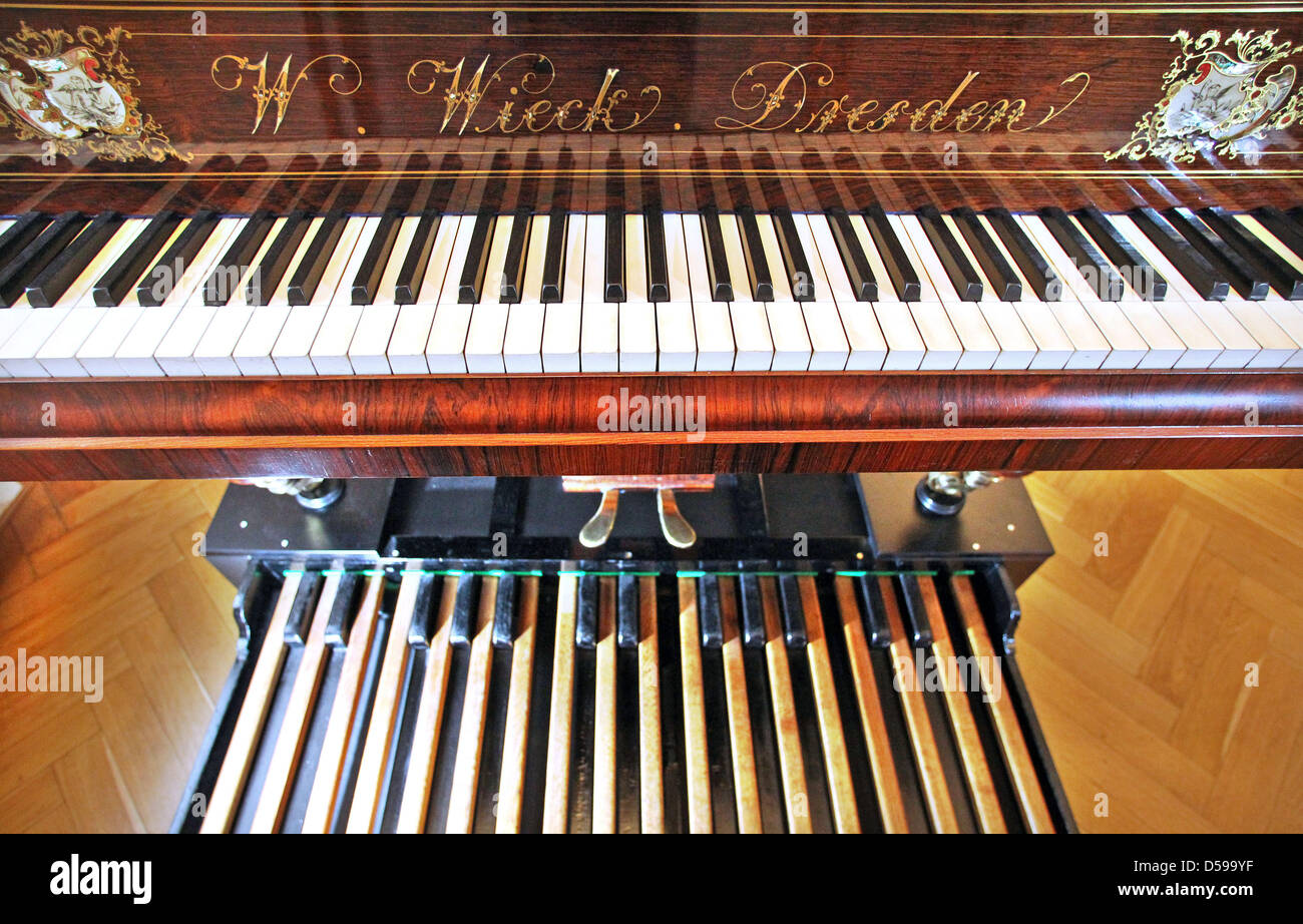 A very rare grand pedal piano pictured in the Robert-Schumann-Haus in  Zwickau, Germany, 15 June 2010. A organ pedal claviature is attached under  the piano, the painist can play with his hands