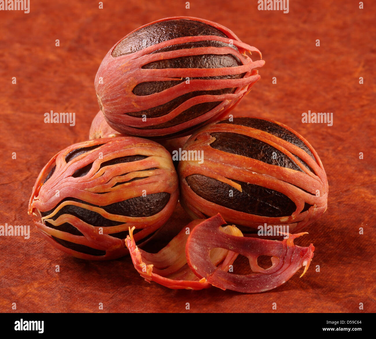 THREE NUTMEG WITH MACE Stock Photo Alamy