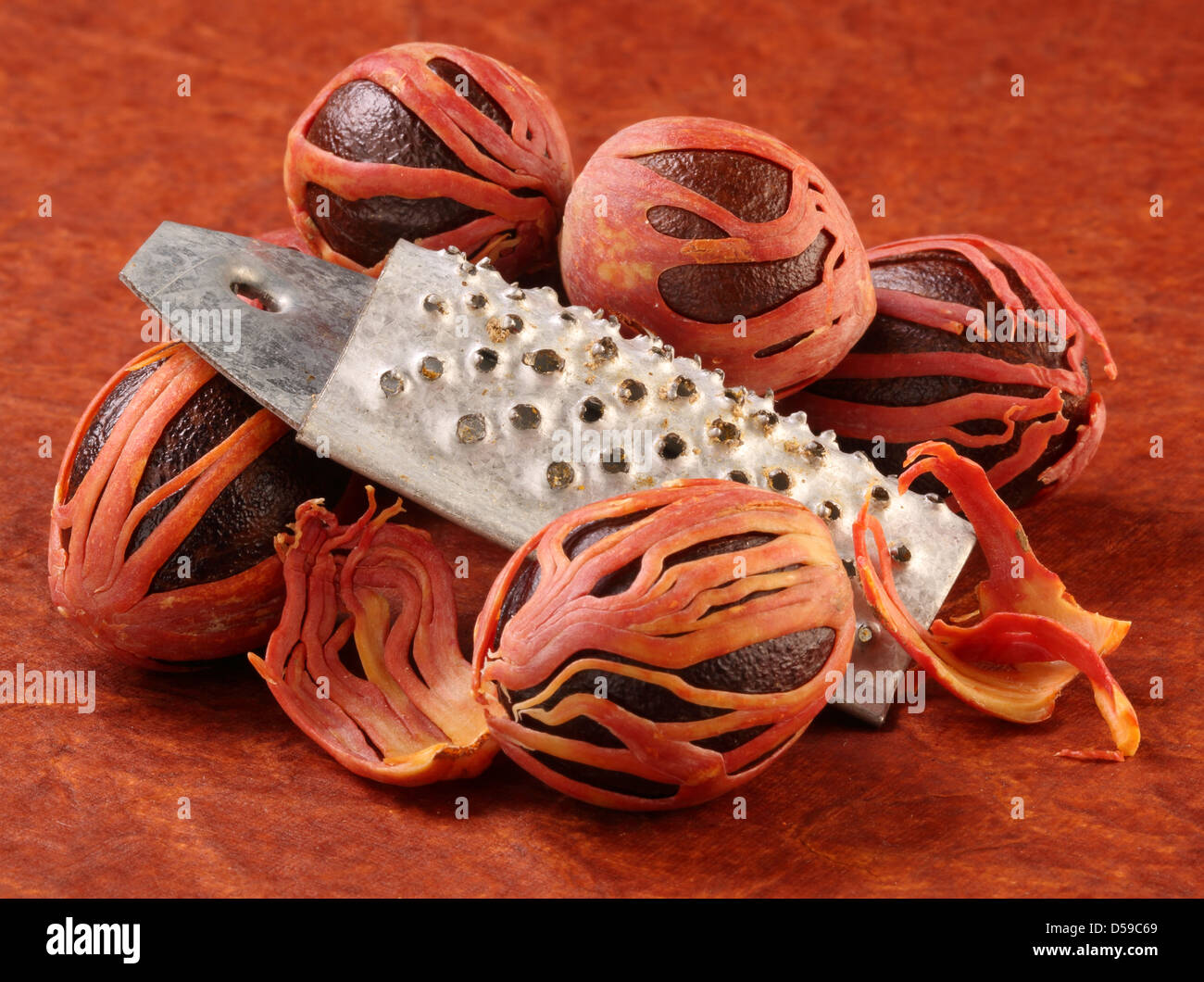 NUTMEG WITH GRATER Stock Photo