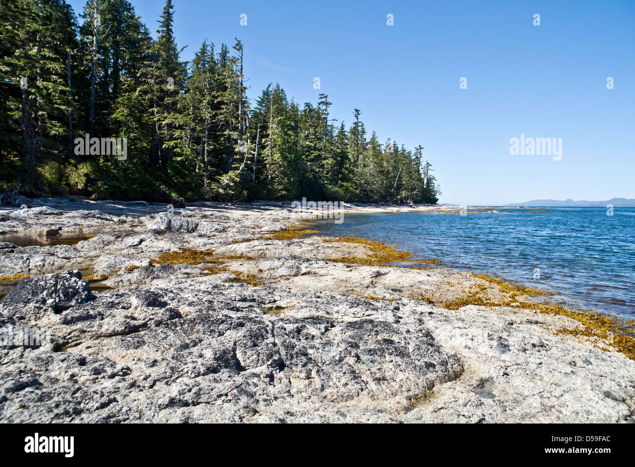 A rocky shoreline at low-tide on the west coast of Swindle Island in the Great Bear Rainforest, British Columbia, Canada. Stock Photo
