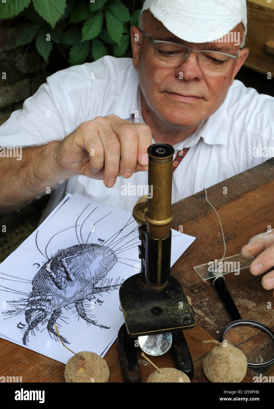 Humus microscope hi-res stock photography and images - Alamy