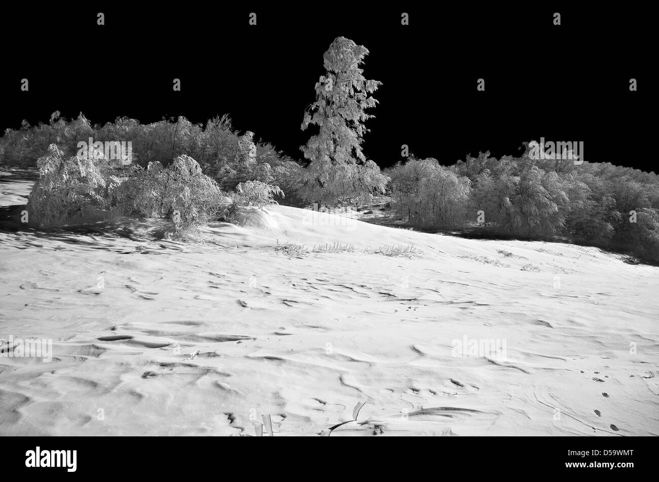 Winter in the mountains. IR Stock Photo