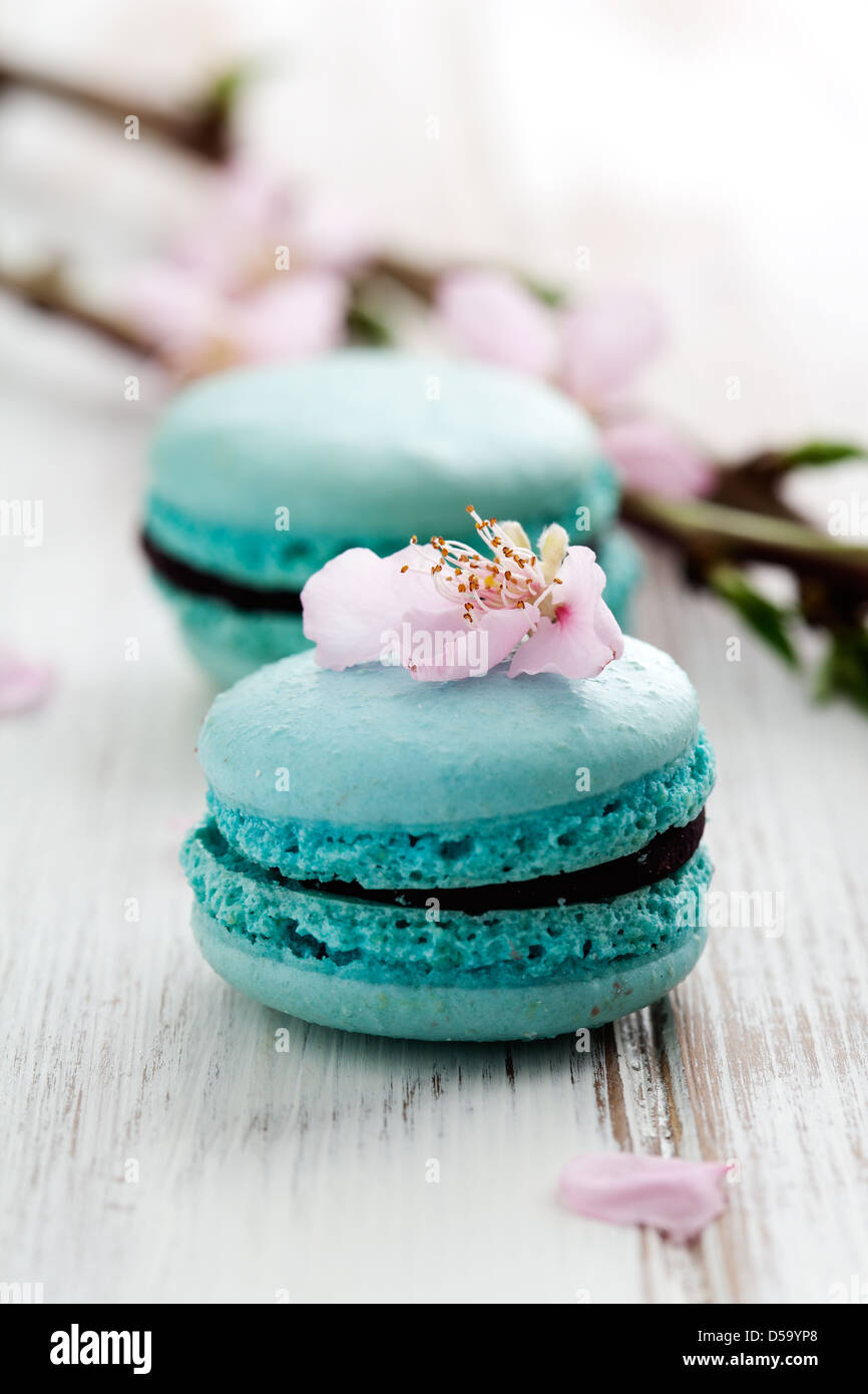 Мятные макаронс. Вкусняшки бирюзового цвета. Макаронс эстетика бирюза. Бирюзовая еда. Бирюзовая еда.