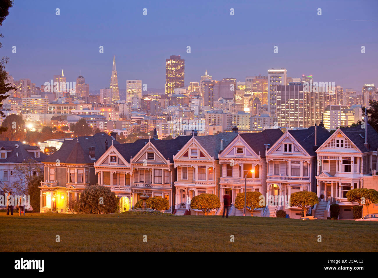 Victorian houses Painted Ladies at Alamo Square and the Skyline of San Francisco at night, California, Stock Photo