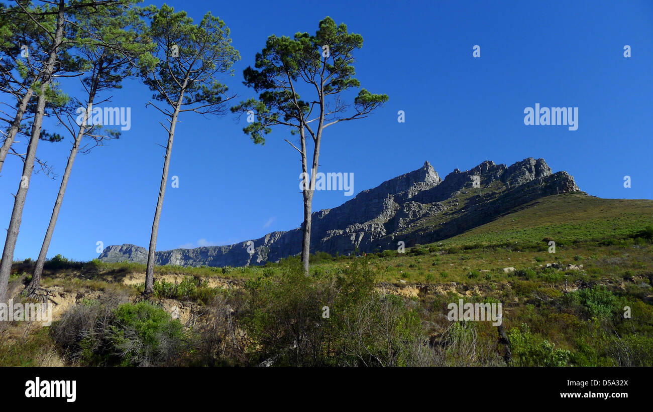 table mountain, cape town, south africa Stock Photo