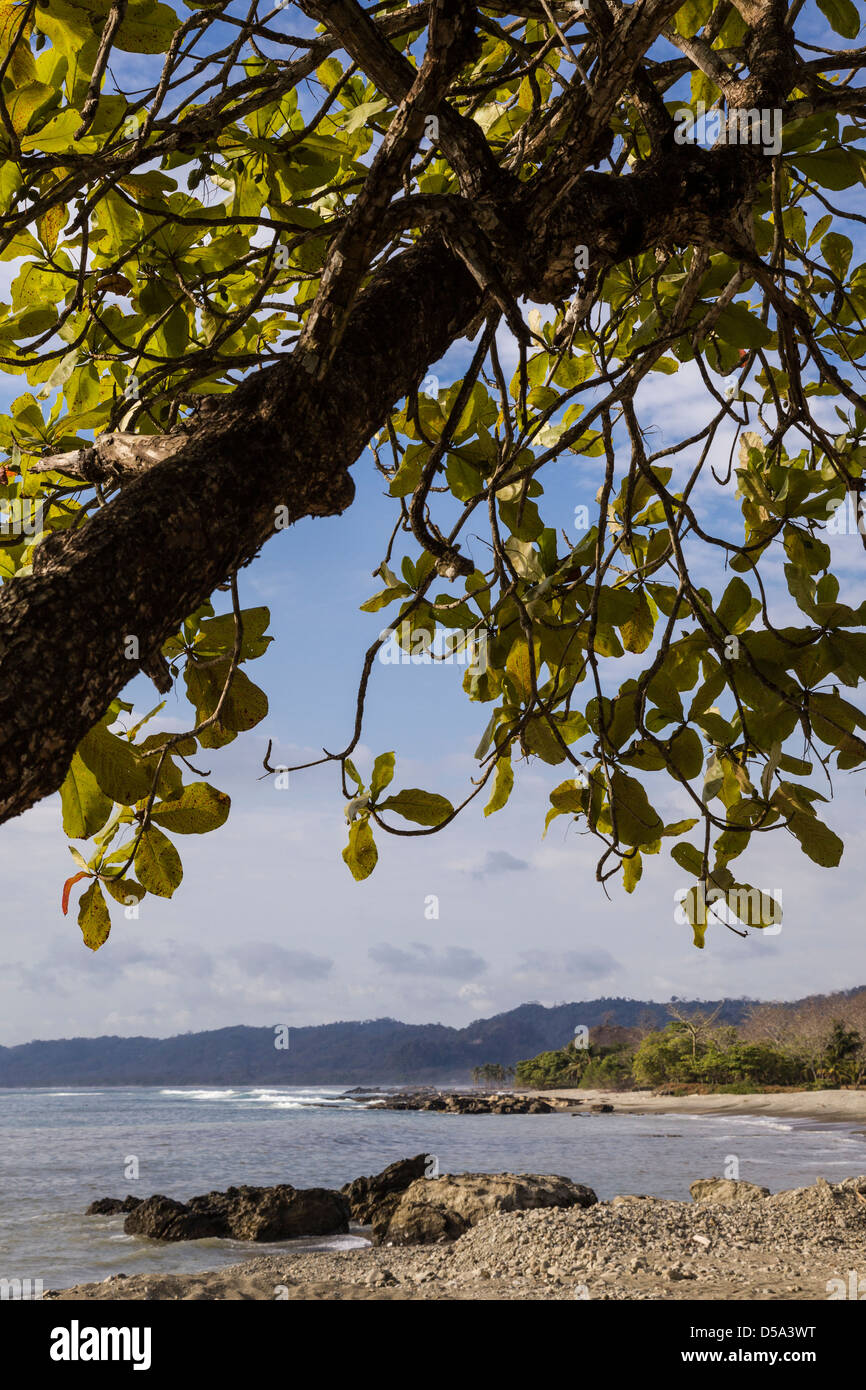 Malpais coastline, Puntarenas Province, Costa Rica Stock Photo