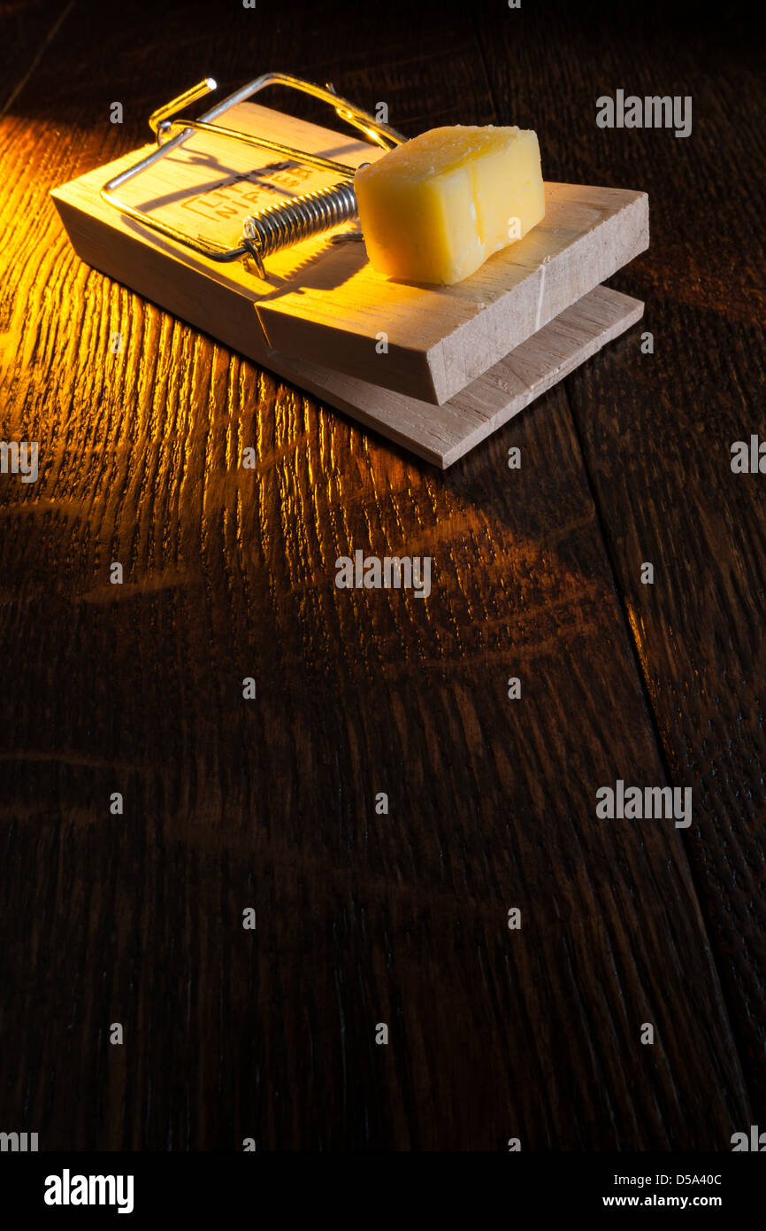 Rat trap cheese hires stock photography and images Alamy