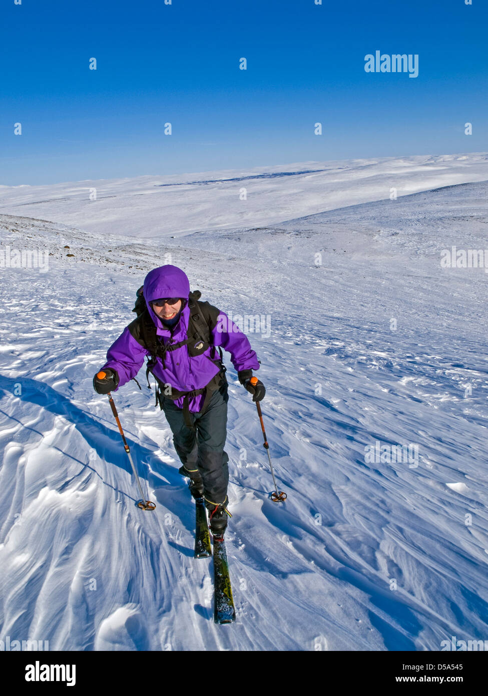 a ski tourer skiing up Halti , a  mountain in Northern Norway Stock Photo