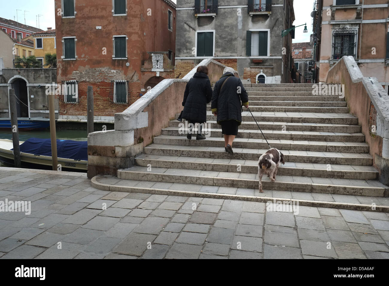 Two old ladies with dog hi-res stock photography and images - Alamy