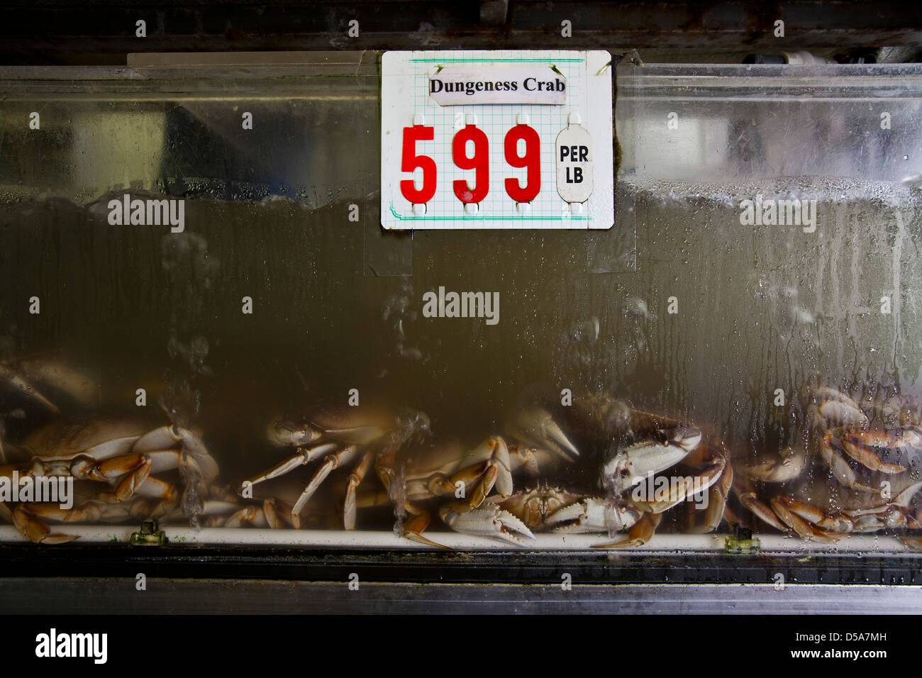 Seafood price hires stock photography and images Alamy