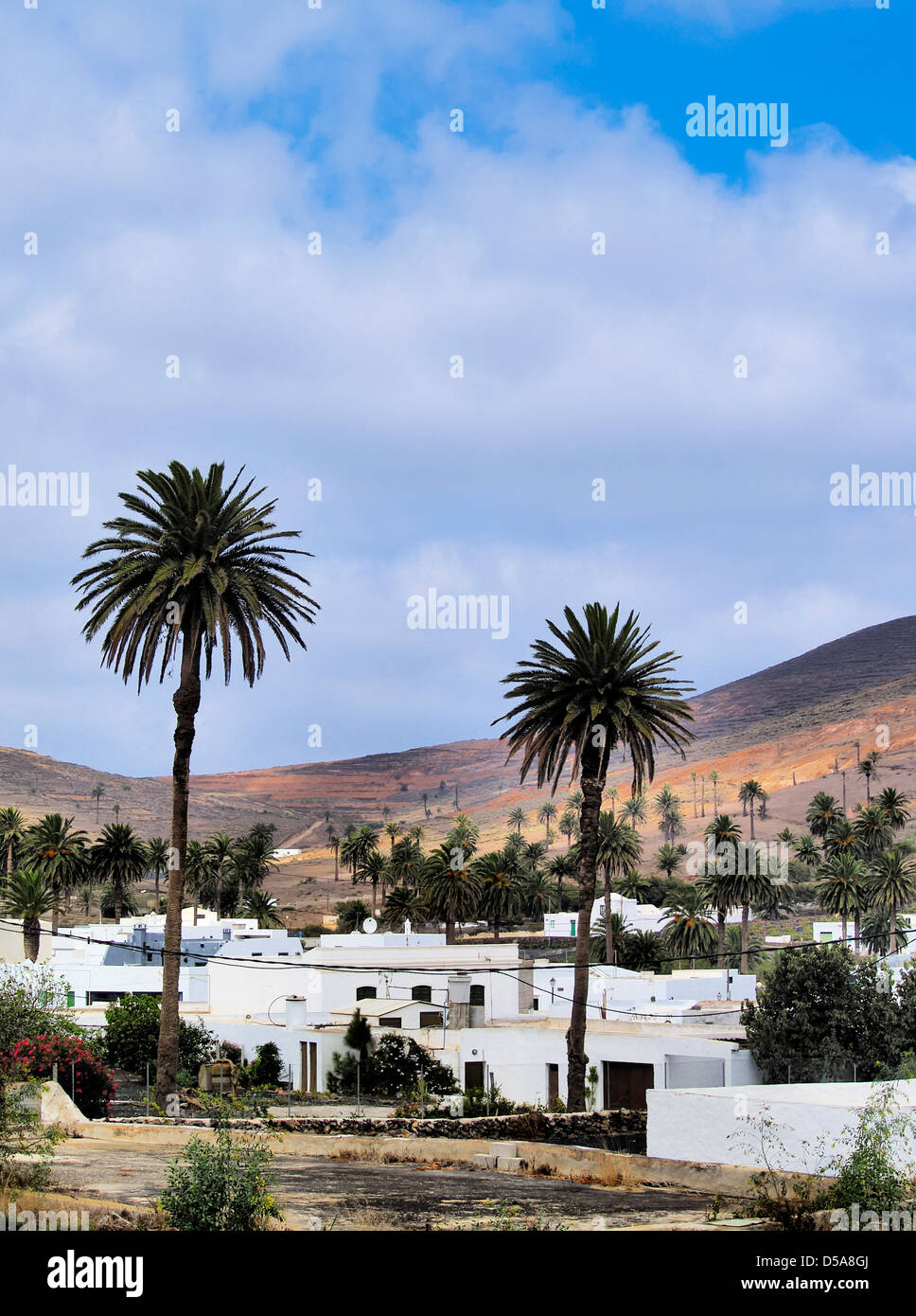 Haria, Lanzarote, Canary Islands, Spain Stock Photo