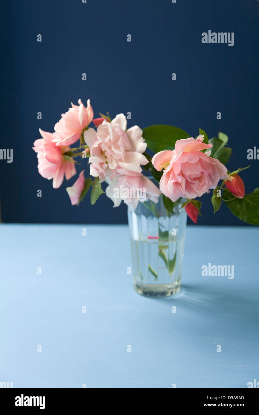 Pink climbing roses in a glass vase in a blue interior Stock Photo - Alamy