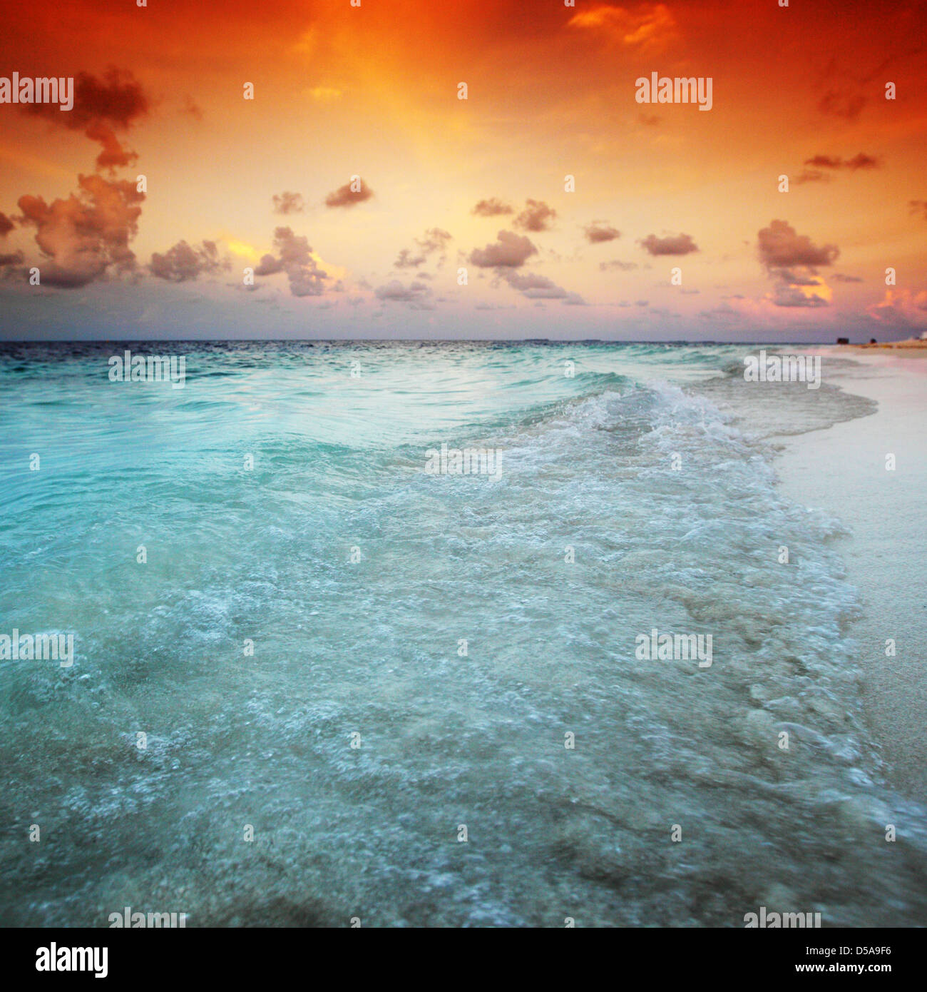 sunset on the sea beach Stock Photo - Alamy