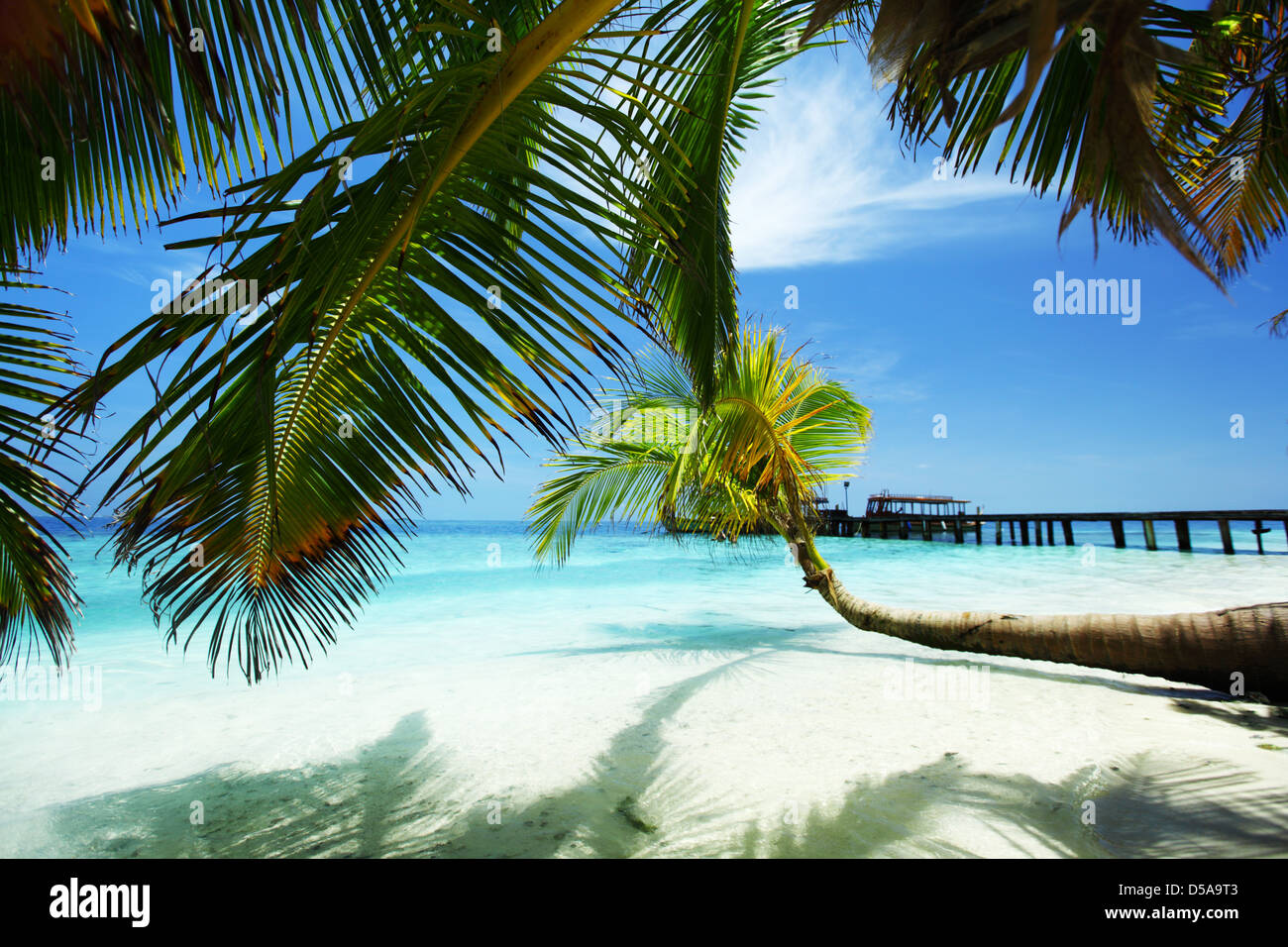 tropical island palm sea and sky Stock Photo