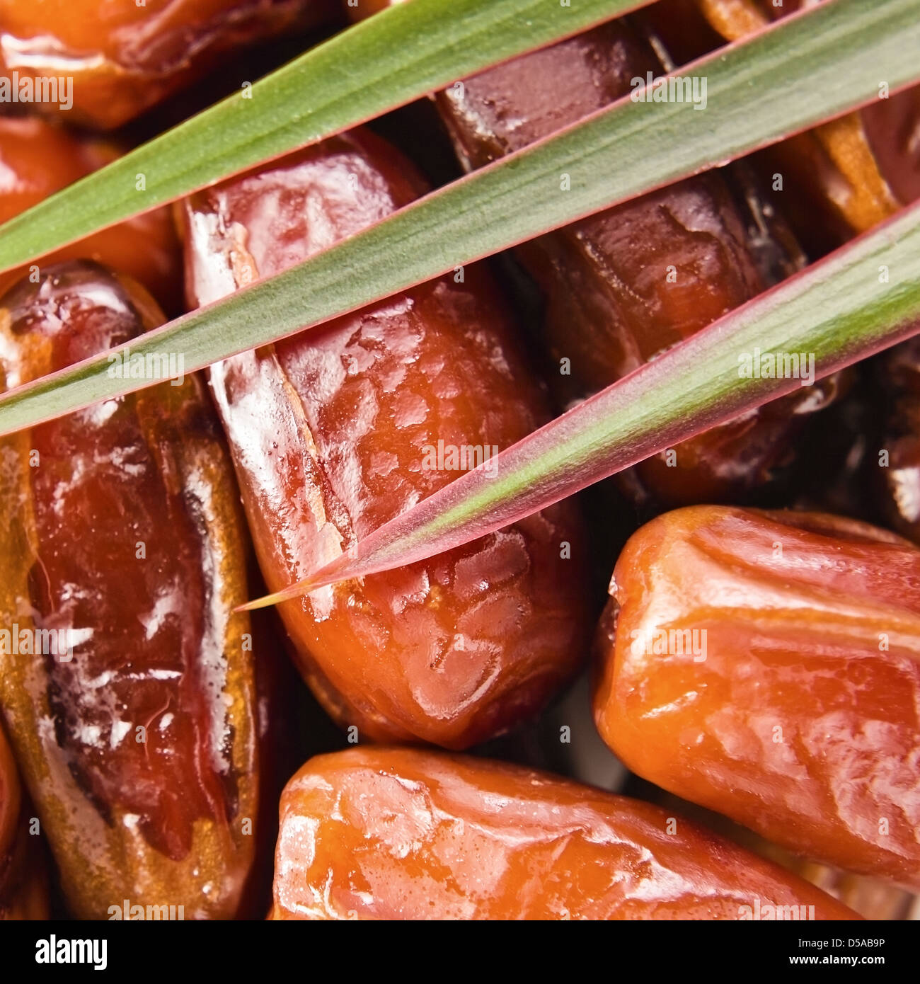 Dried dates ,macro shot , focus on a center Stock Photo