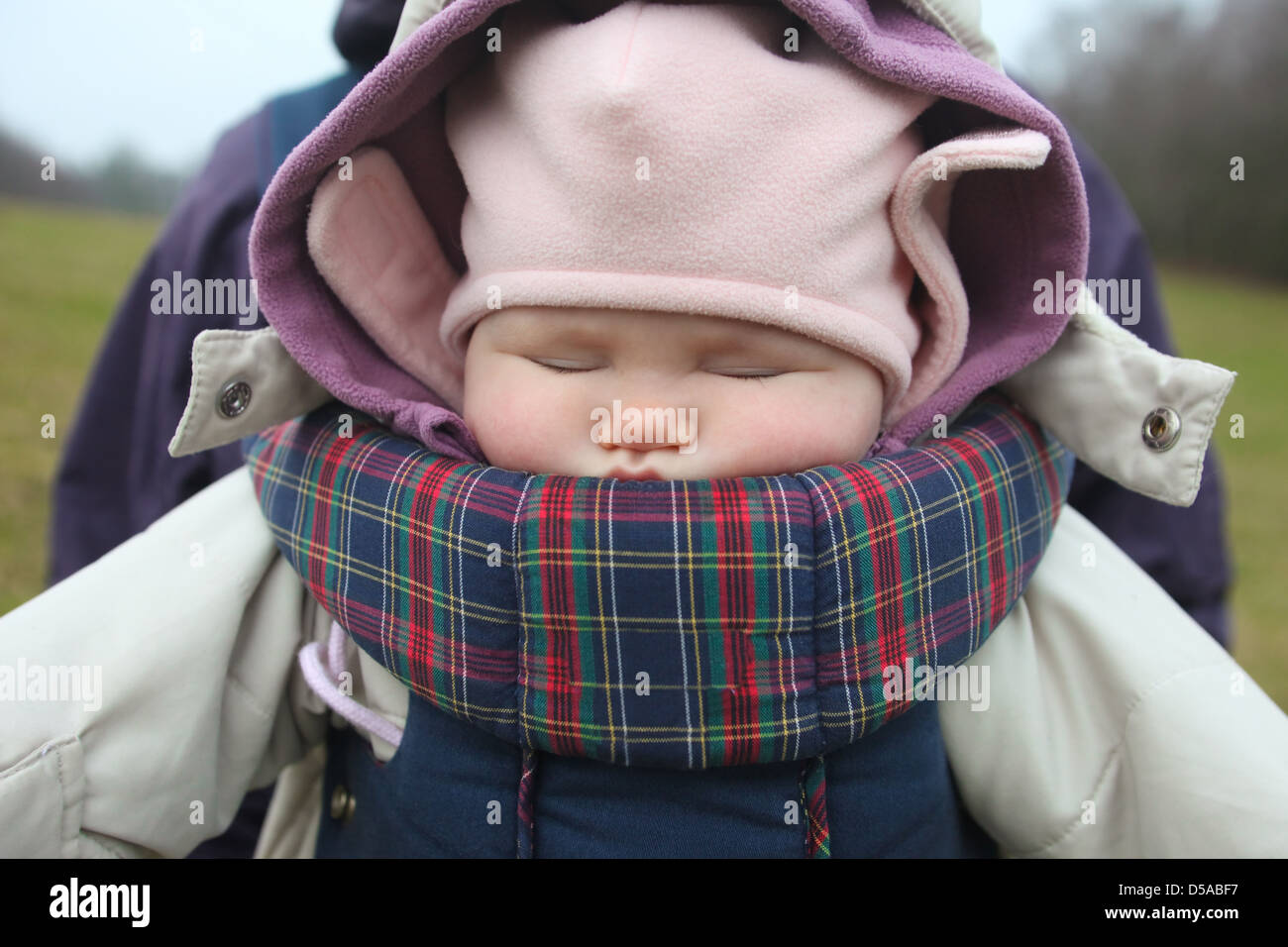 Baby sleeping in carrier with cap in winter season Stock Photo Alamy