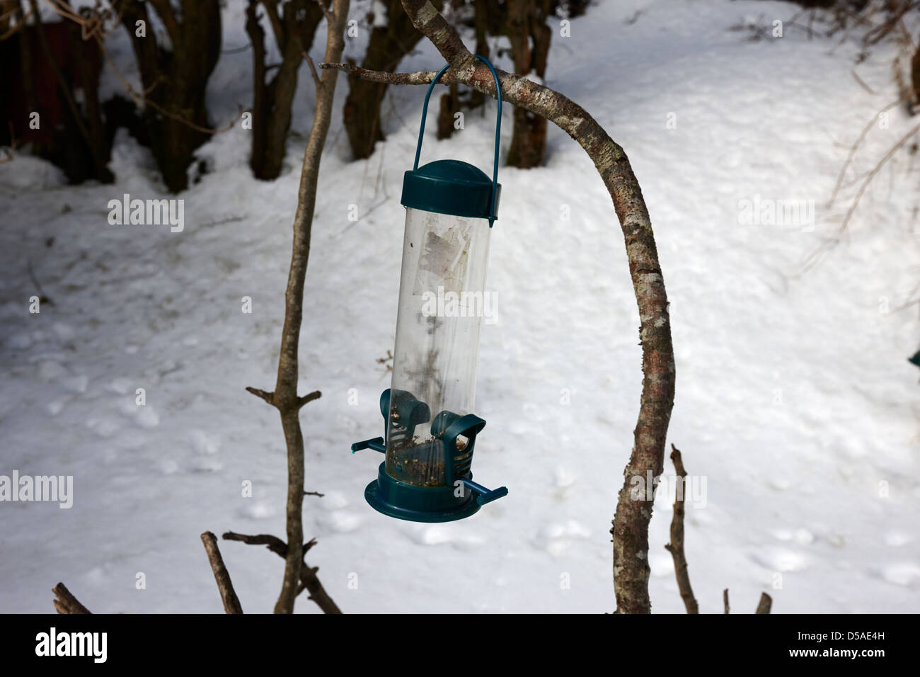 Empty Bird Feeder Stock Photos & Empty Bird Feeder Stock Images Alamy
