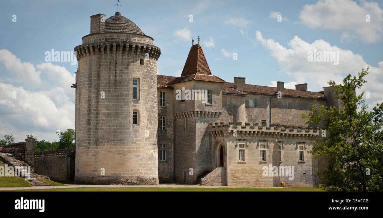 Ancestral castle near St Emilion, France Stock Photo