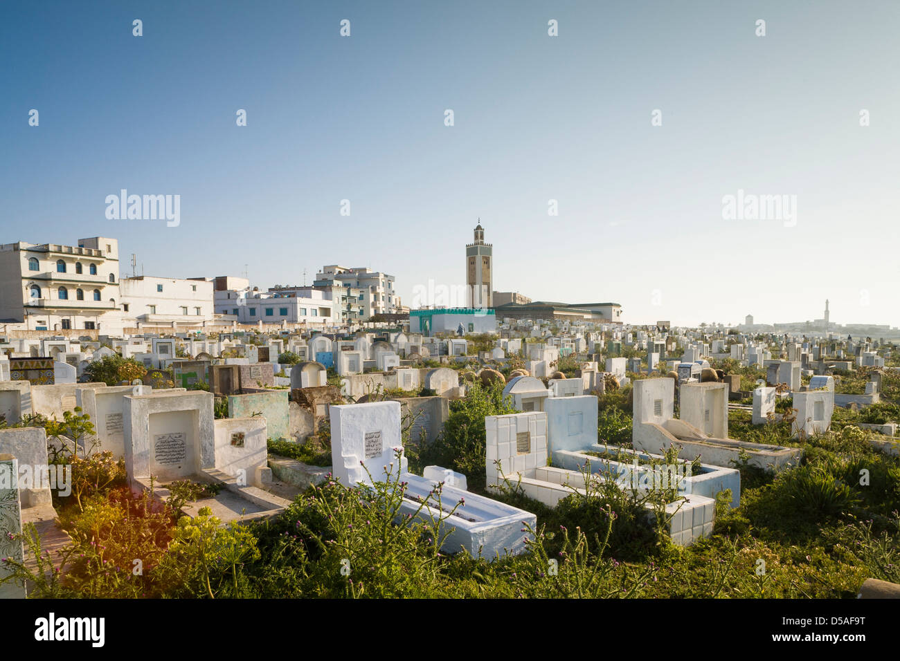 LARACHE MARRUECOS MOROCCO MUSLIM CEMETERY Stock Photo Alamy