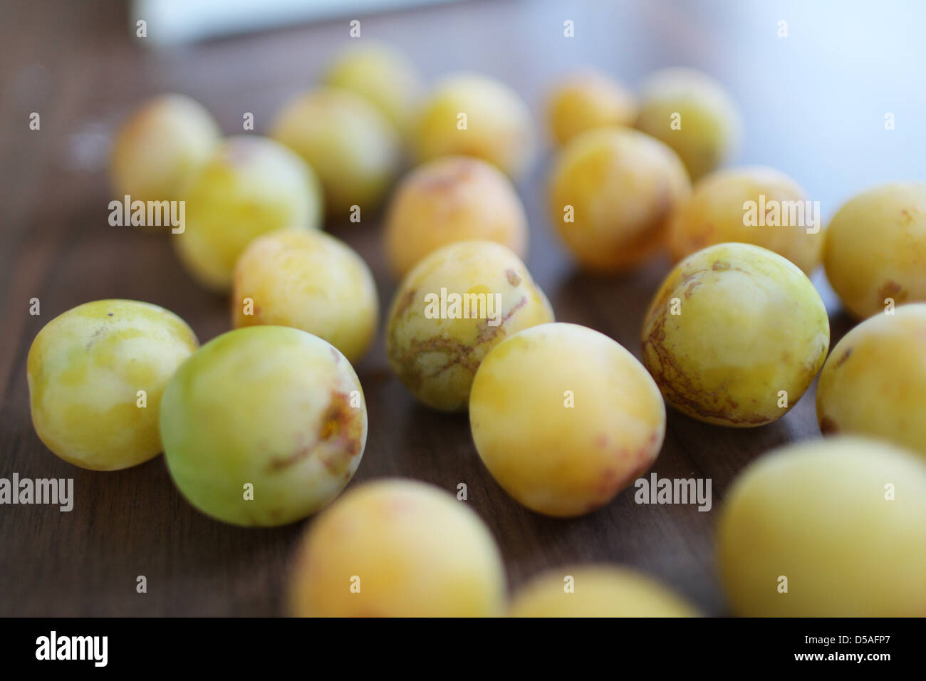 Handewitt, Germany, plums, also called Yellow Plum Stock Photo