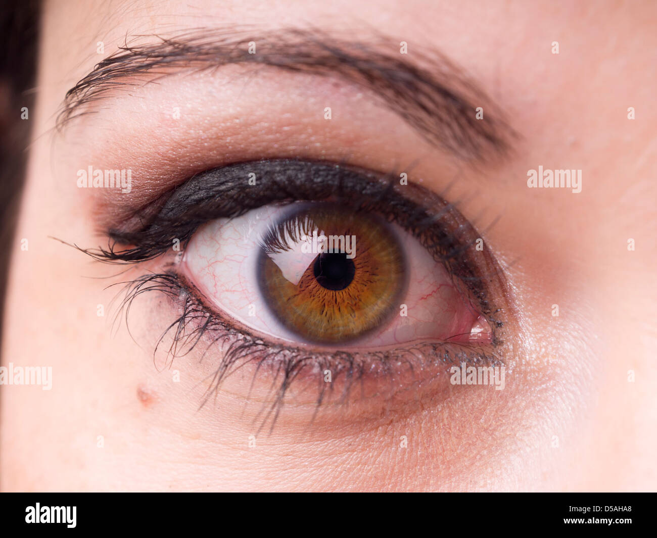 Close up of green and brown female eye with make up on Stock Photo