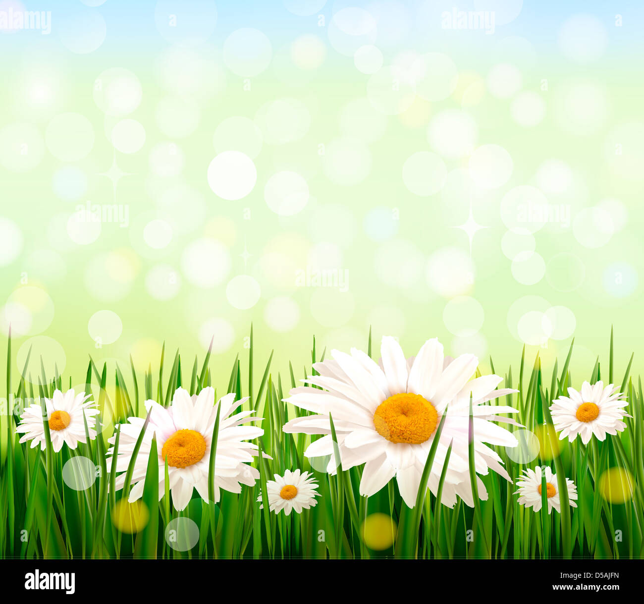 Nature background with green grass and flowers and blue sky. Vector ...