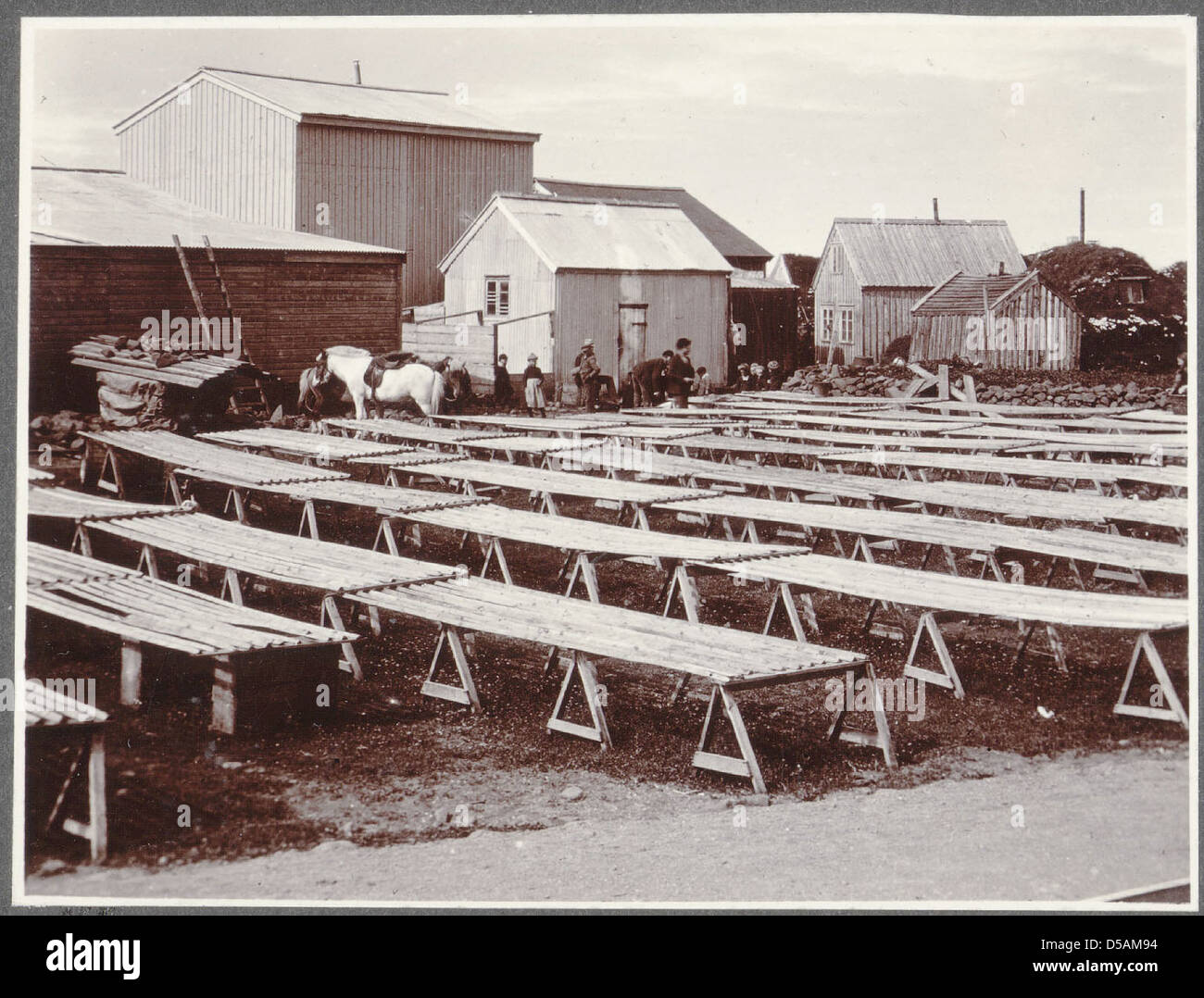 Fish drying boards. Akranes Stock Photo - Alamy