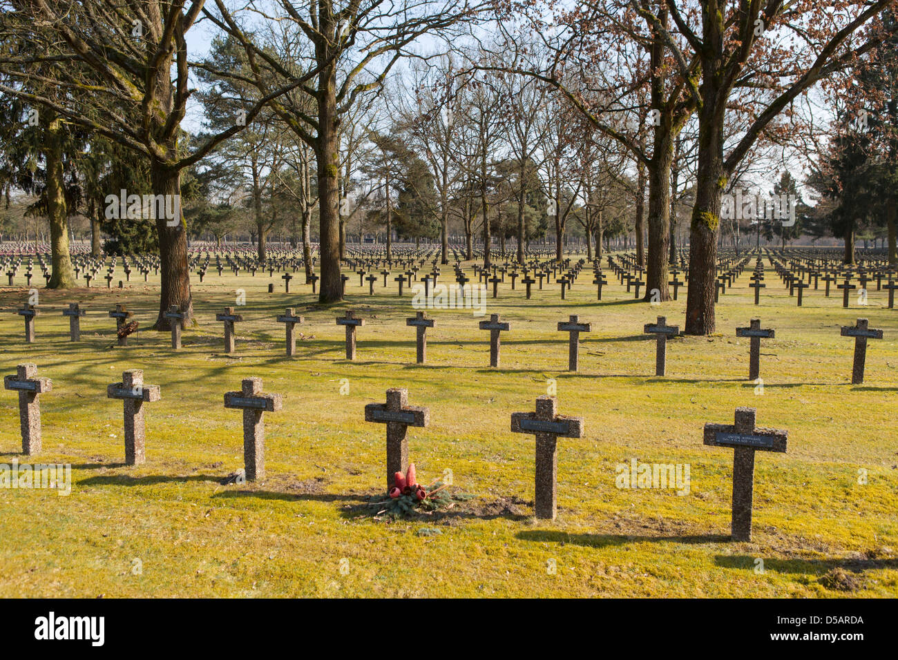 German War Cemetery at Kattenbos Lommel in Belgium with 542 dead from WW I and 38.560 dead from WW II. Stock Photo