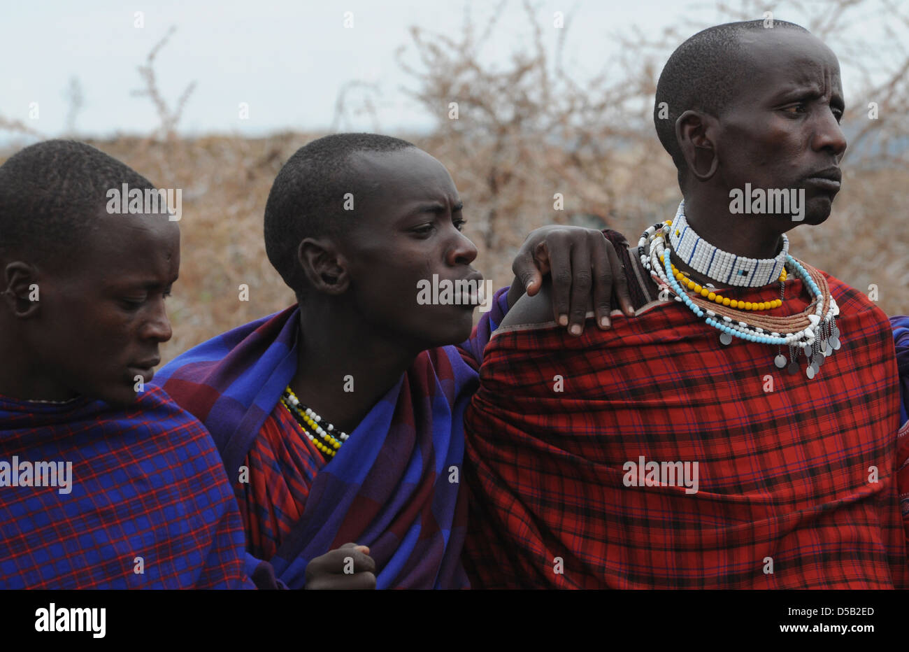 Africa, Tanzania, Maasai tribe an ethnic group of semi-nomadic people. A group in traditional dance Stock Photo