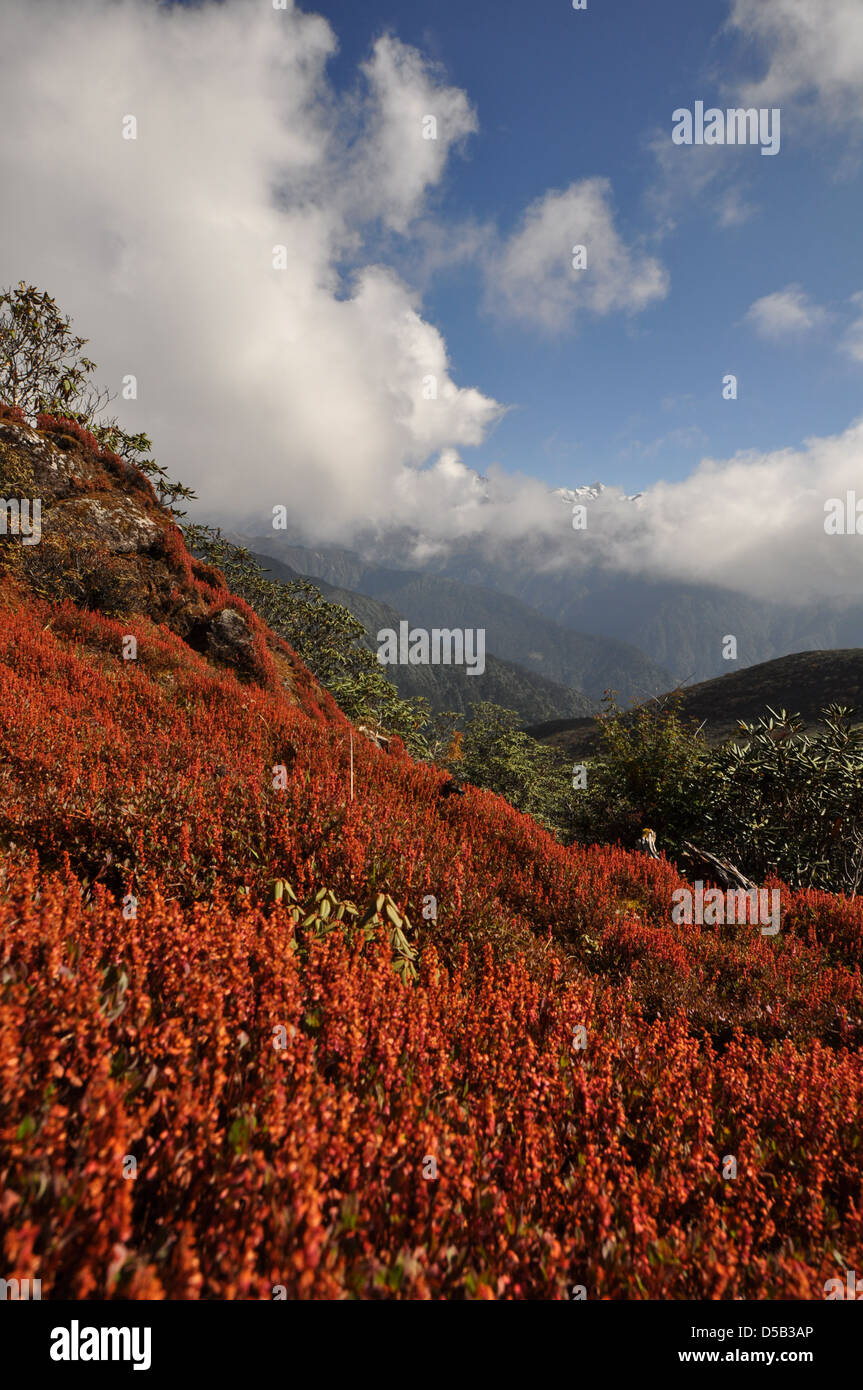 India, Sikkim landscape Stock Photo